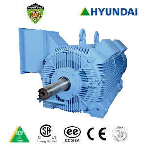 Hyundai Electric Crown Triton Severe Duty Motor